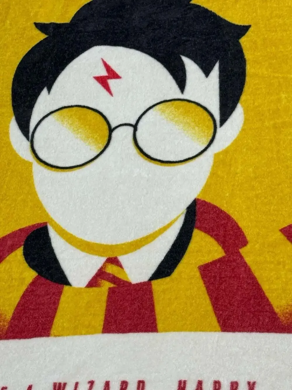 The Northwest Group Harry Potter WB100 You're a Wizard Throw Blanket